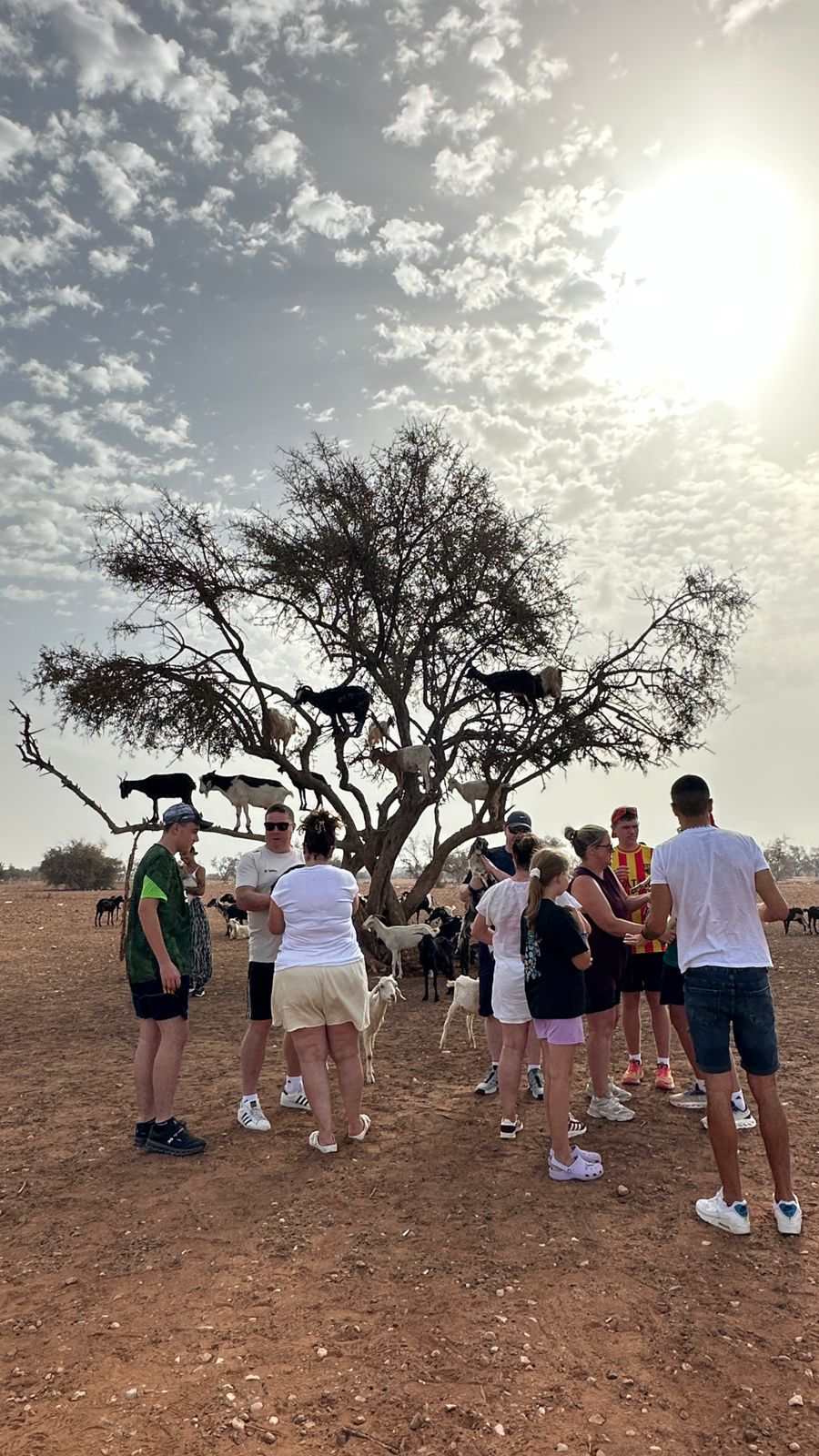 Essaouira UNESCO medina architecture